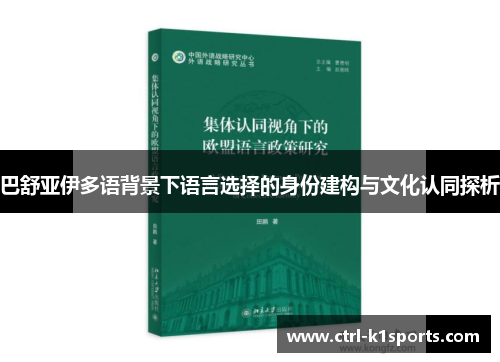 巴舒亚伊多语背景下语言选择的身份建构与文化认同探析 巴舒亚伊多语背景下语言选择的身份建构与文化认同探析