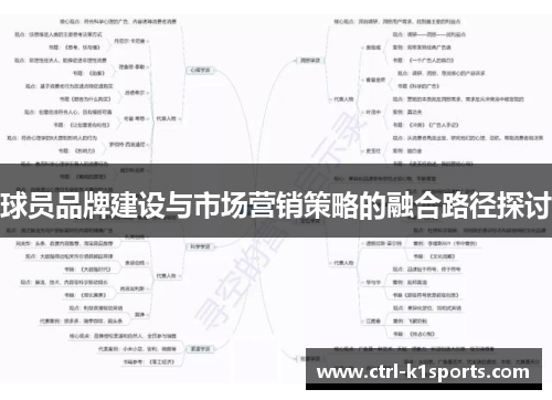 球员品牌建设与市场营销策略的融合路径探讨