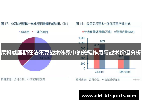 尼科威廉斯在法尔克战术体系中的关键作用与战术价值分析 尼科威廉斯在法尔克战术体系中的关键作用与战术价值分析