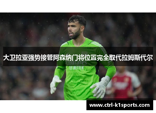 大卫拉亚强势接管阿森纳门将位置完全取代拉姆斯代尔 大卫拉亚强势接管阿森纳门将位置完全取代拉姆斯代尔